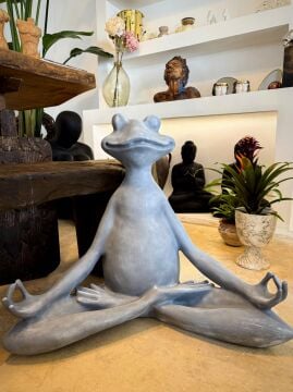 Yogacı Kurbağa